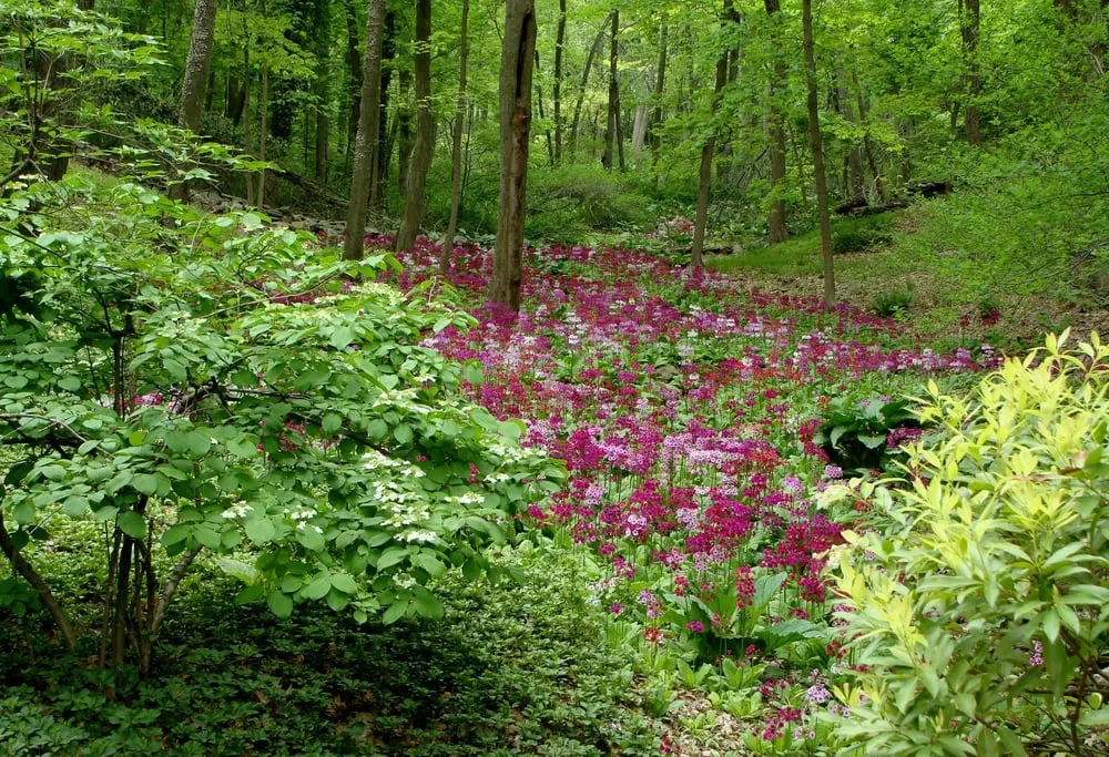 Top-rated lawn mowing service in Stamford, CT - Maher & Greenwald Fine Gardens