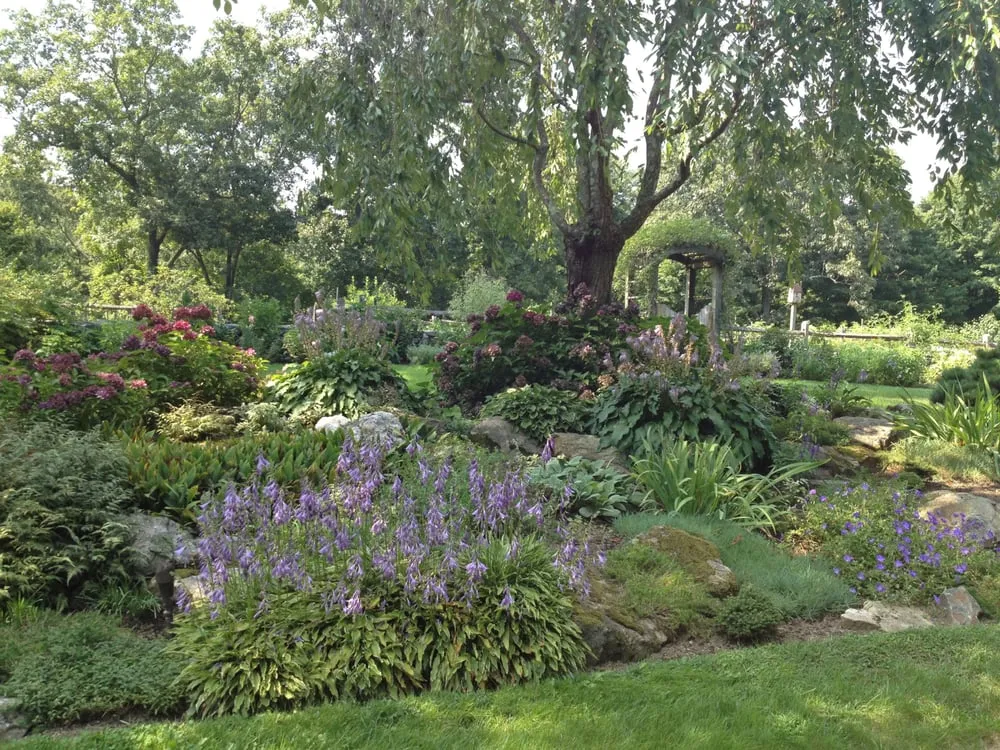 Trusted lawn care service in Stamford, CT by Maher & Greenwald Fine Gardens