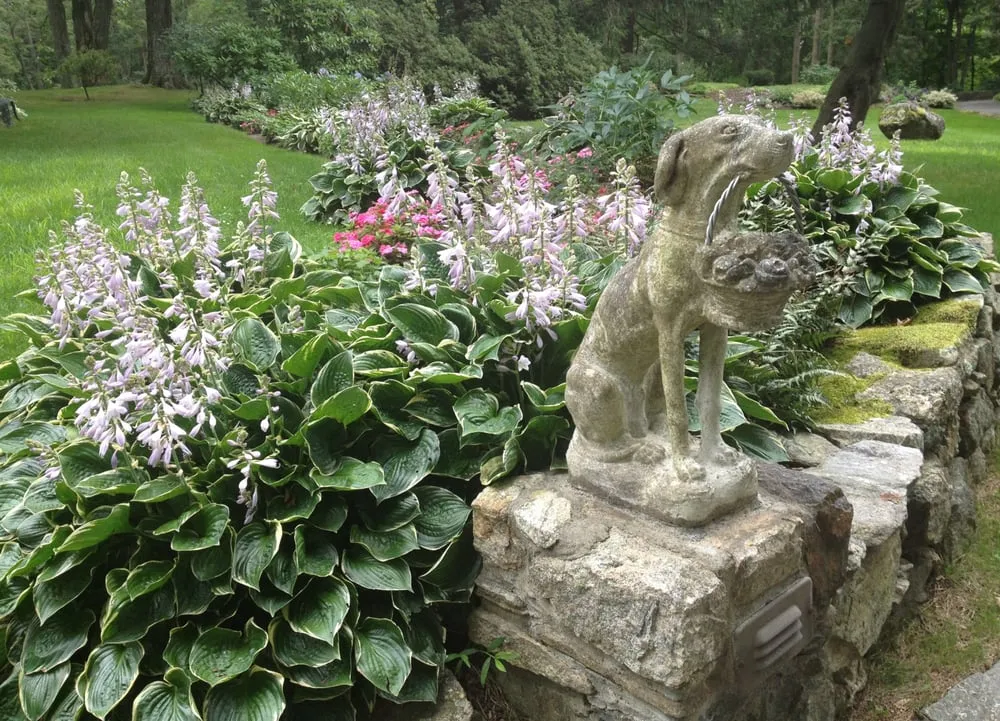 Local yard cleanup service experts serving Stamford, CT - Maher & Greenwald Fine Gardens