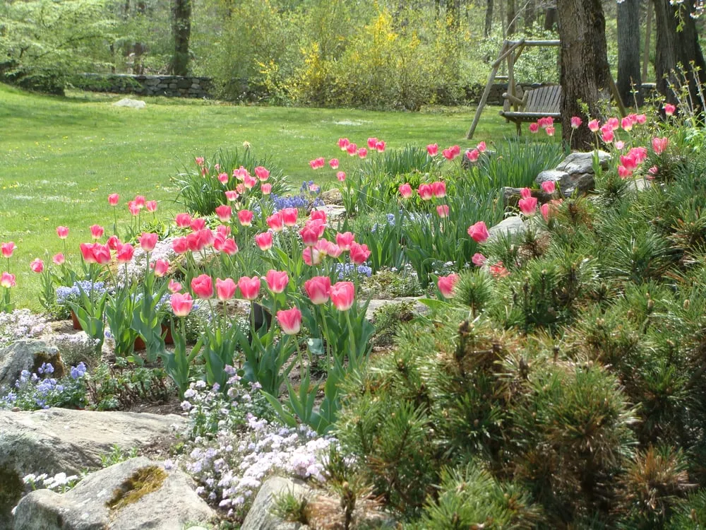 Top-rated yard cleanup service in Stamford, CT by Maher & Greenwald Fine Gardens