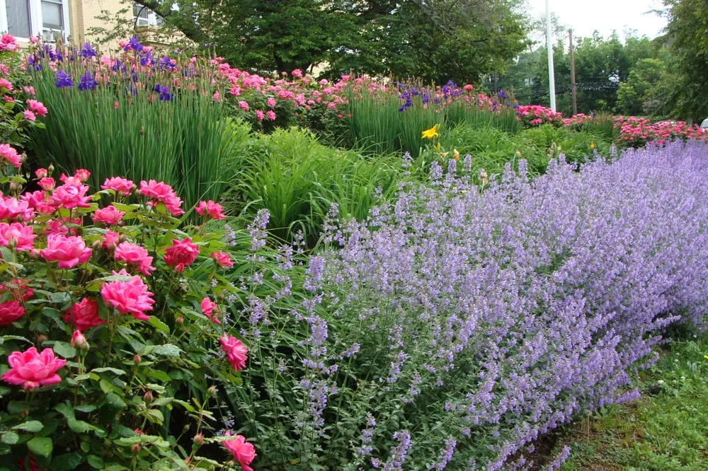 Top-rated landscaping services experts serving Stamford, CT - Maher & Greenwald Fine Gardens