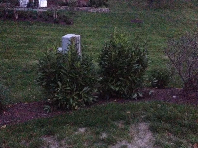 Local residential landscaping near you across Stamford, CT - Maher & Greenwald Fine Gardens