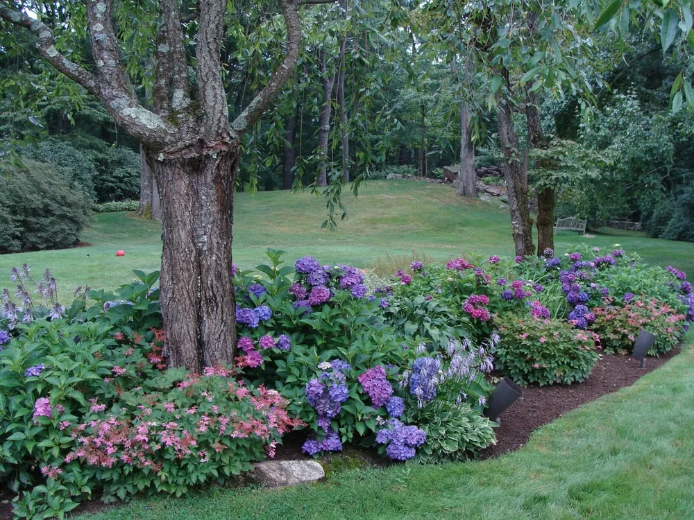 Affordable lawn care service in Stamford, CT - Maher & Greenwald Fine Gardens