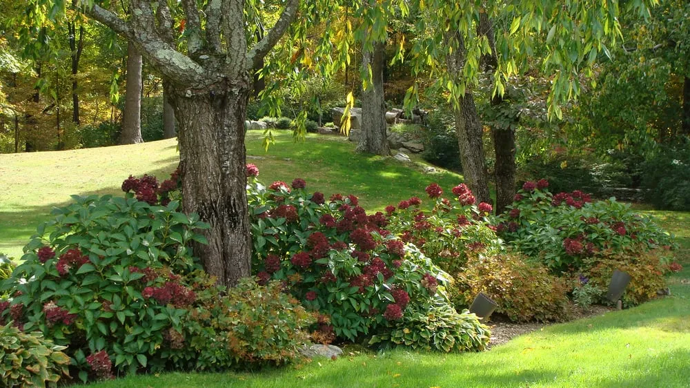 Expert residential landscaping with custom design across Stamford, CT - Maher & Greenwald Fine Gardens