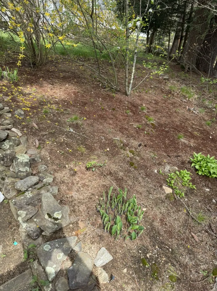 Reliable landscape design experts serving Chester, NH - Maher Landscaping