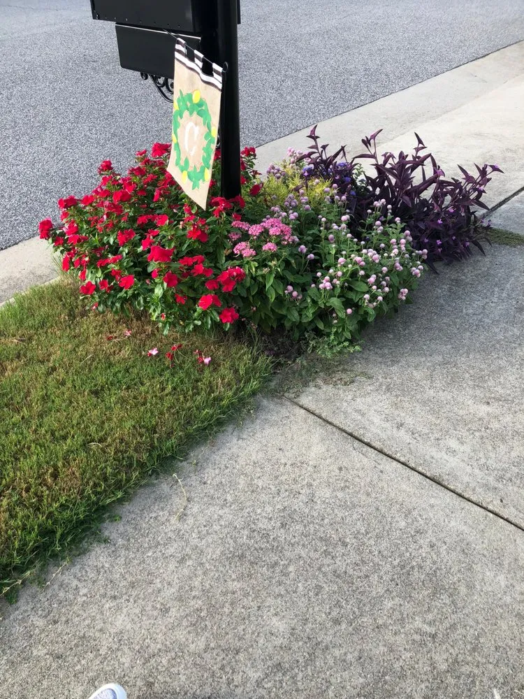 Reliable yard maintenance near you across Baton Rouge, LA - Mahogany Green Home Improvement & Landscape Design