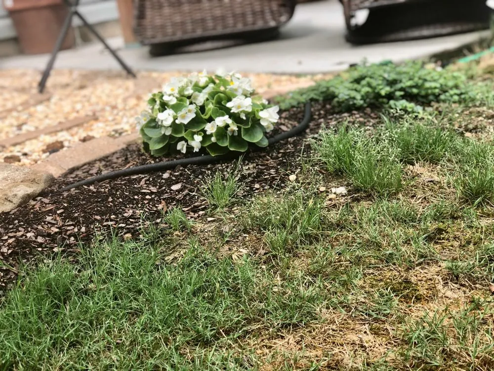 Local yard cleanup service in Baton Rouge, LA - Mahogany Green Home Improvement & Landscape Design