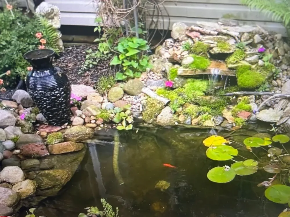 Affordable landscaping services in Baton Rouge, LA - Mahogany Green Home Improvement & Landscape Design