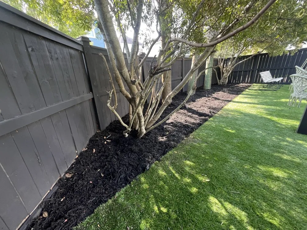 Trusted yard cleanup service for year-round maintenance in Summerville, SC by Mahogany Home Services