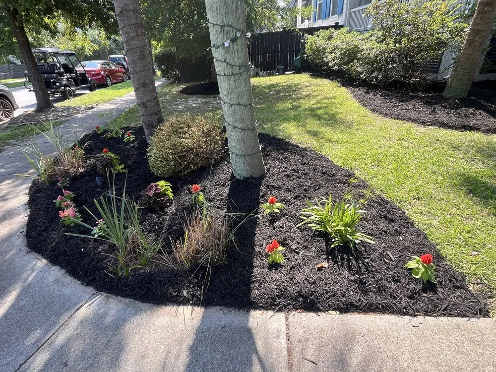 Expert landscaping services in Summerville, SC by Mahogany Home Services