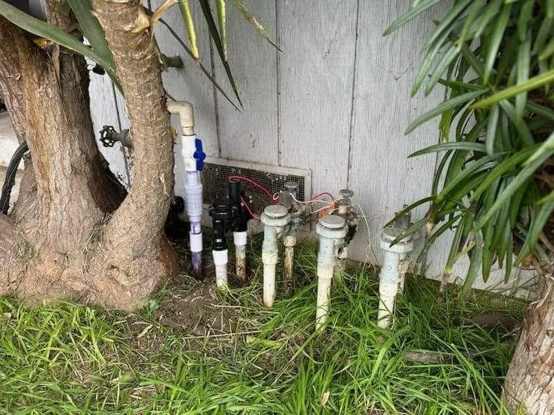 Expert lawn care service in Turlock, CA - Mahogany Landscape Solutions