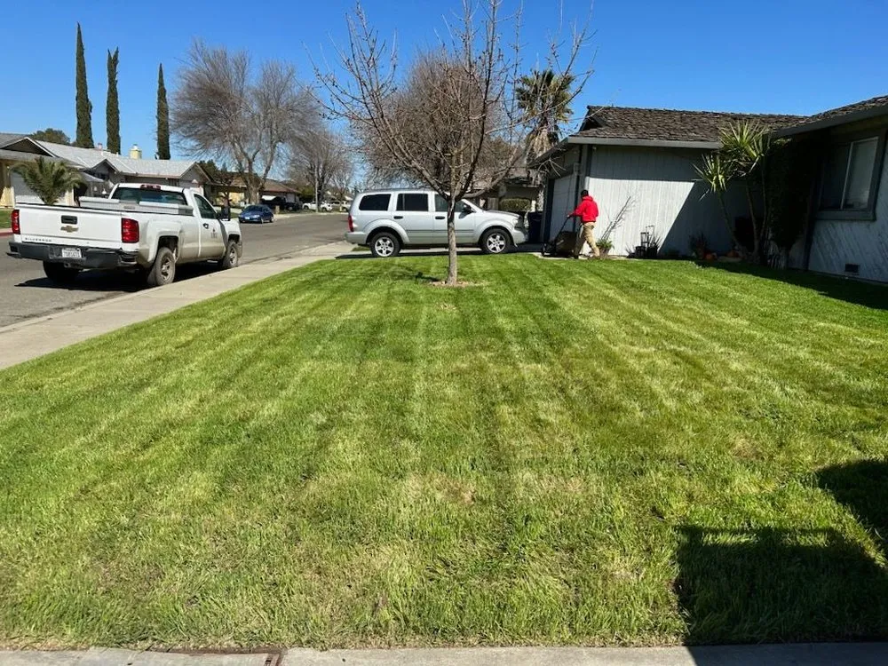 Expert landscape design near you across Turlock, CA - Mahogany Landscape Solutions