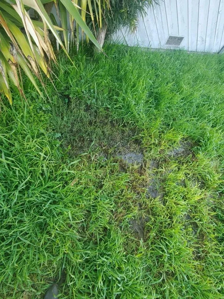 Expert landscape design experts serving Turlock, CA - Mahogany Landscape Solutions