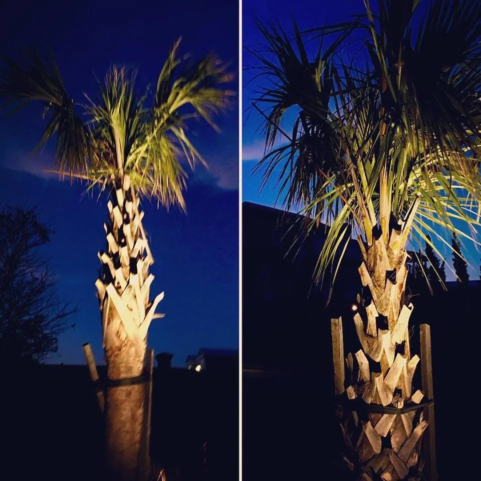 Custom lawn mowing service with custom design across Virginia Beach, VA - Mahogany Landscaping & Design