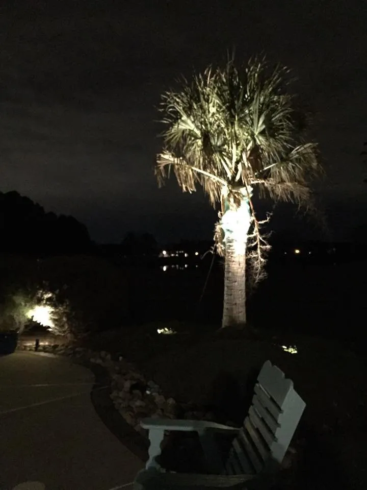 Top-rated outdoor landscaping for outdoor upgrades across Virginia Beach, VA - Mahogany Landscaping & Design