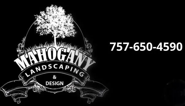 Expert yard cleanup service for year-round maintenance in Virginia Beach, VA by Mahogany Landscaping & Design