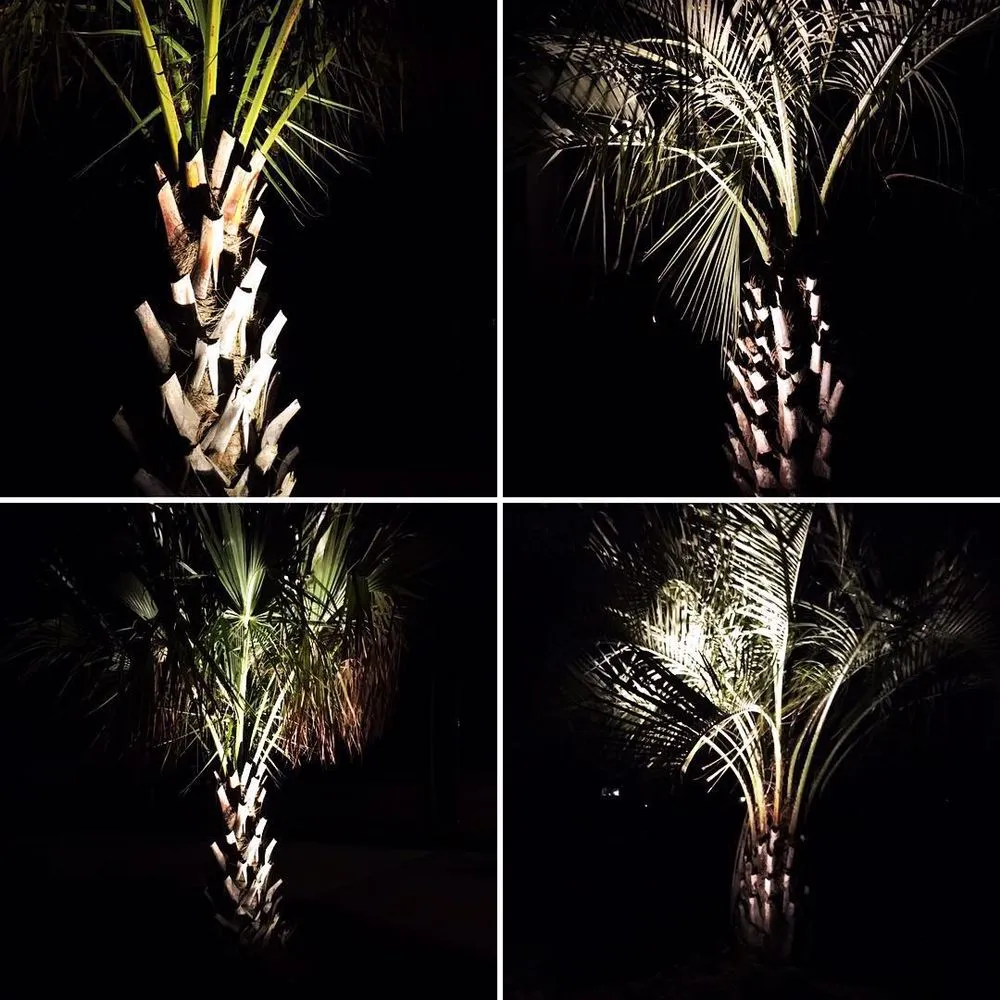 Professional yard maintenance in Virginia Beach, VA - Mahogany Landscaping & Design