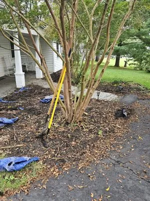 Mahogany Landscaping and Home Improvement Logo