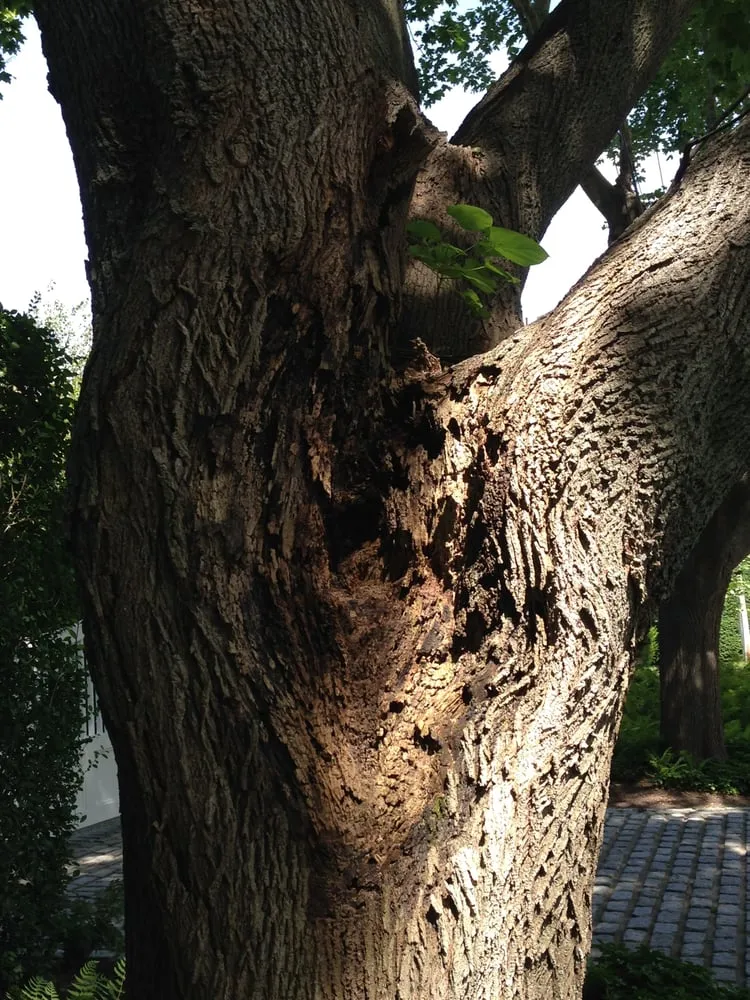 Professional landscape installation for beautiful yards in Southampton, NY by Mahoney Associates Inc.