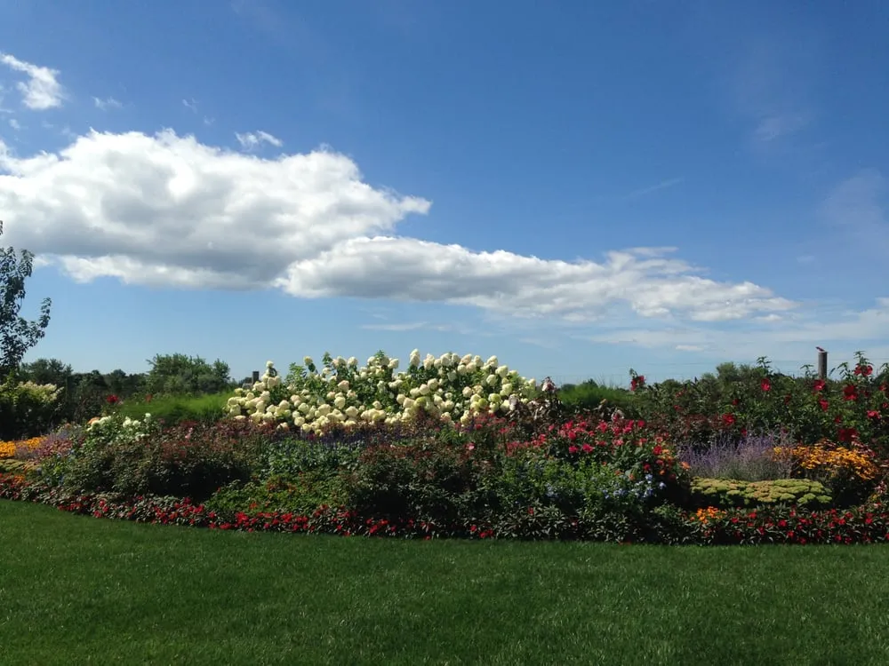 Affordable landscape design for year-round maintenance in Southampton, NY by Mahoney Associates Inc.