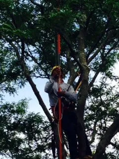 Trusted landscaping services in Southampton, NY - Mahoney Associates Inc.