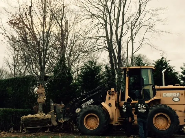 Professional yard maintenance in Southampton, NY - Mahoney Associates Inc.