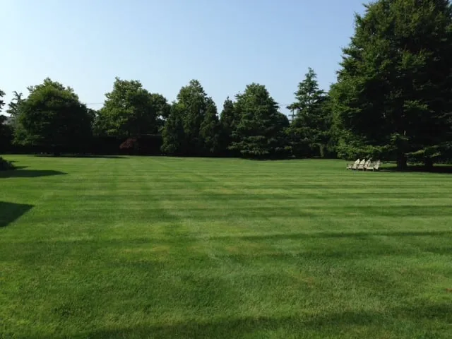 Expert lawn care service in Southampton, NY - Mahoney Associates Inc.