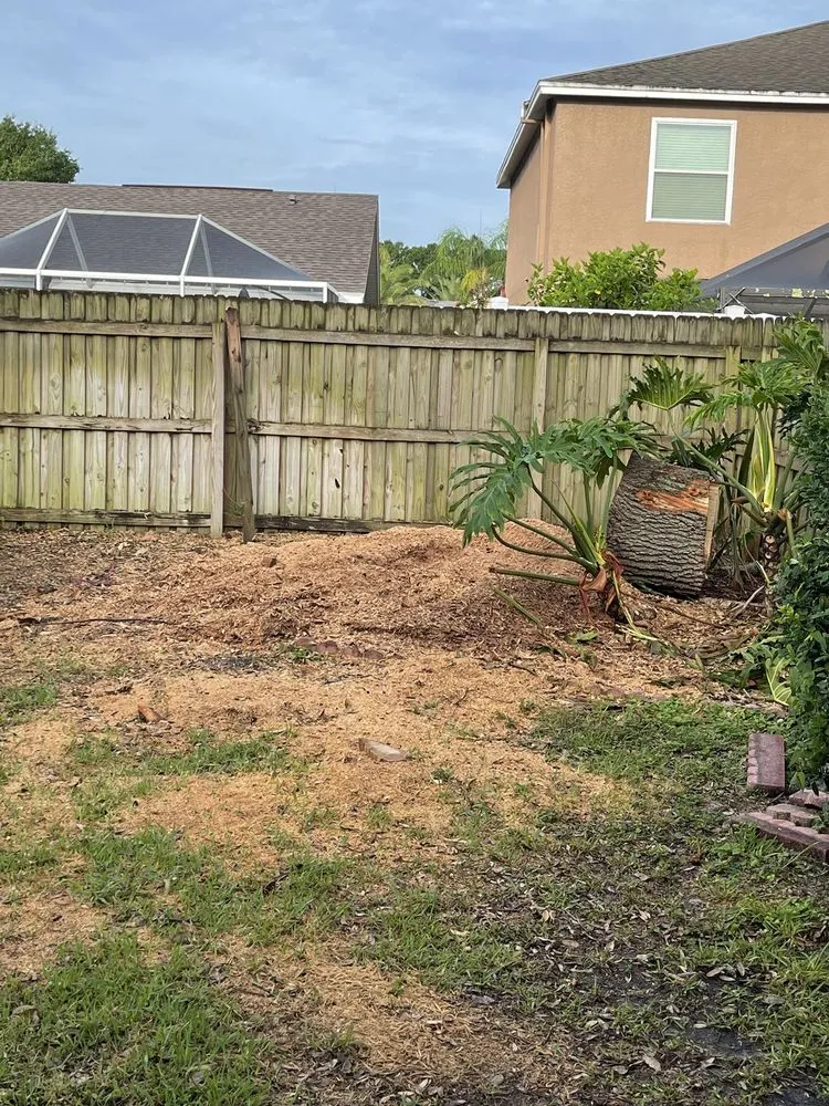 Reliable outdoor landscaping in Seffner, FL - Mahoney Professional Tree Service