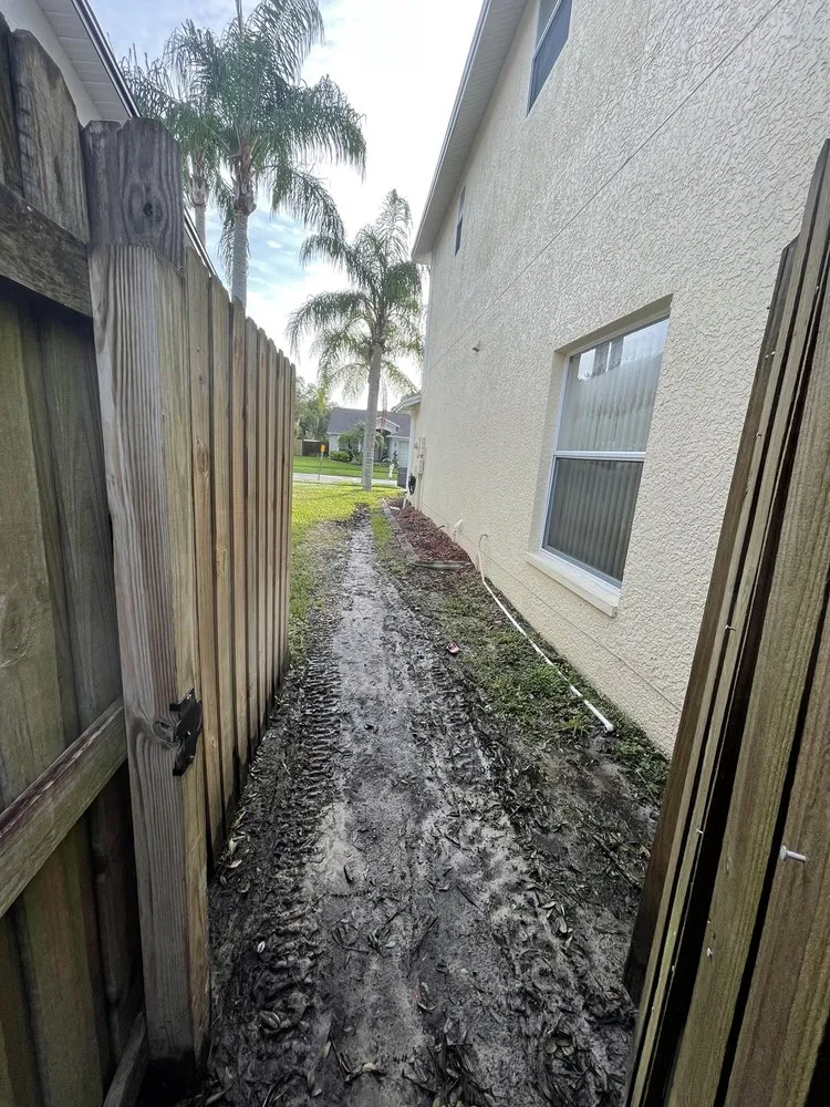 Custom landscaping services for year-round maintenance in Seffner, FL by Mahoney Professional Tree Service