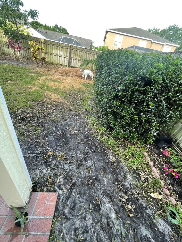 Local residential landscaping in Seffner, FL by Mahoney Professional Tree Service