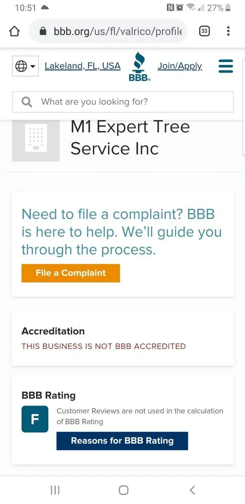 Reliable yard maintenance experts serving Seffner, FL - Mahoney Professional Tree Service