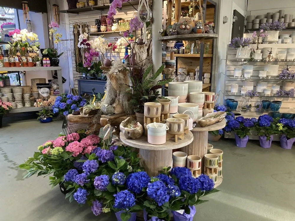 Professional residential landscaping experts serving Osterville, MA - Mahoney's Garden Center