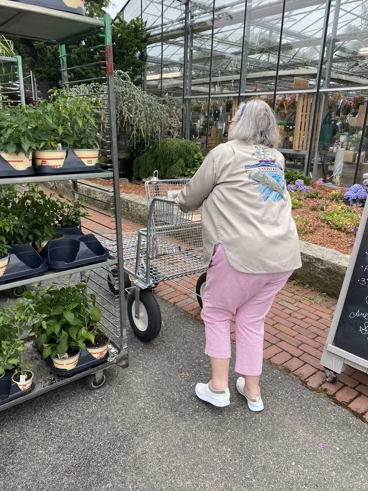 Expert lawn care service in Osterville, MA by Mahoney's Garden Center