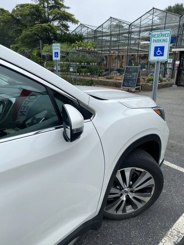 Trusted landscape installation for outdoor upgrades across Osterville, MA - Mahoney's Garden Center