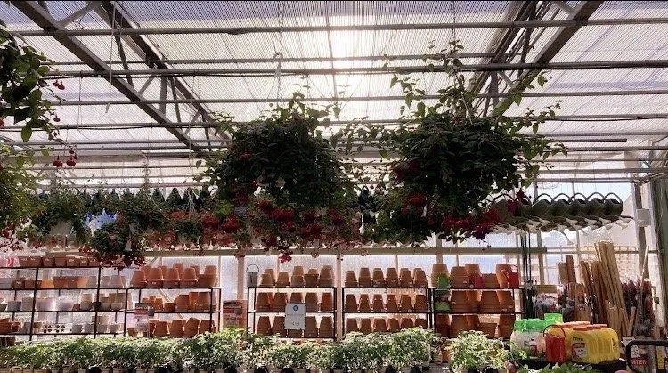 Top-rated landscape installation near you in Osterville, MA by Mahoney's Garden Center