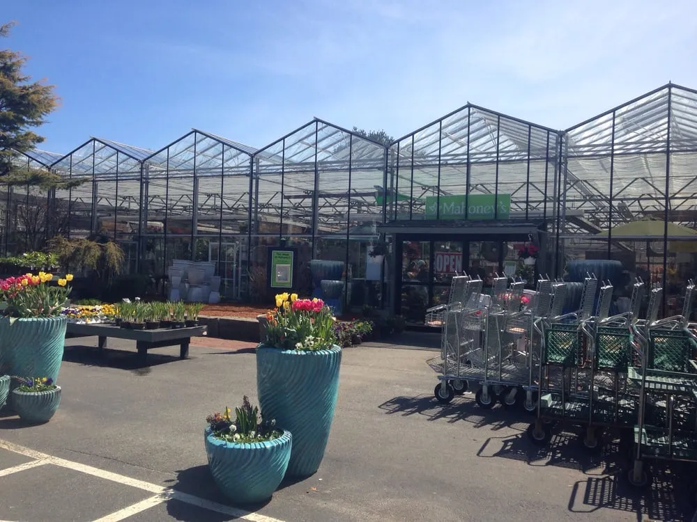 Affordable yard maintenance in Osterville, MA - Mahoney's Garden Center