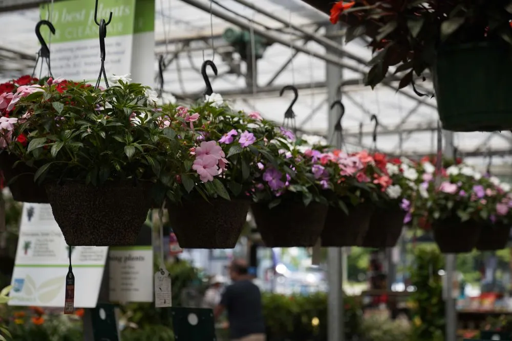 Expert garden landscaping in Osterville, MA by Mahoney's Garden Center