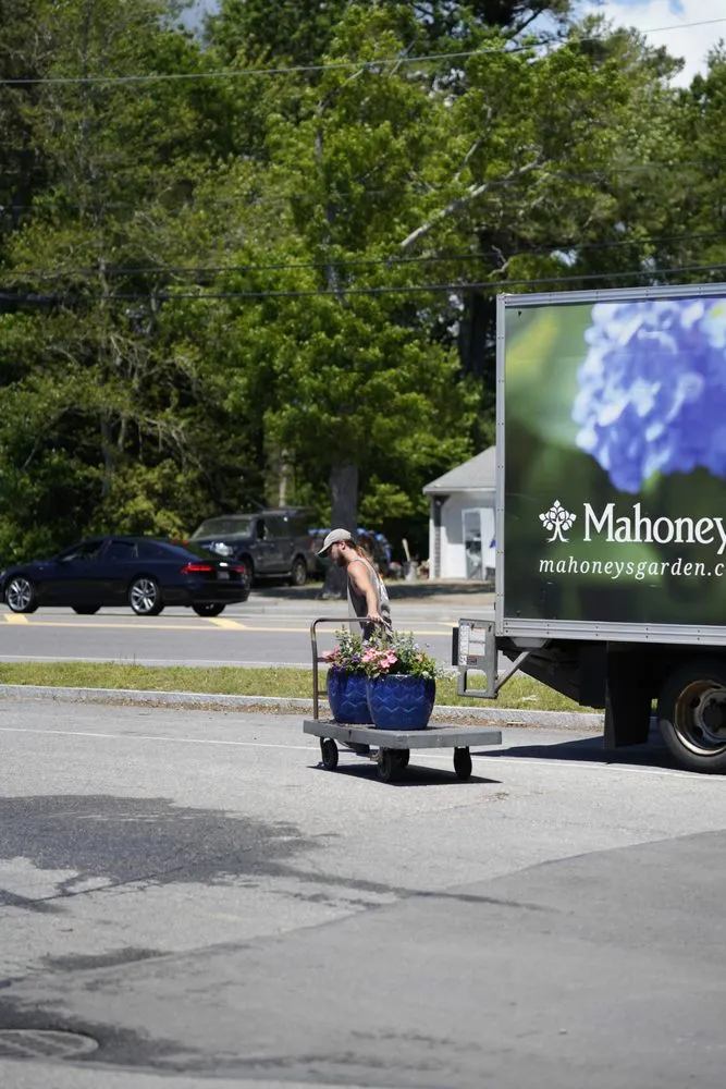 Top-rated outdoor landscaping for homes across Osterville, MA - Mahoney's Garden Center