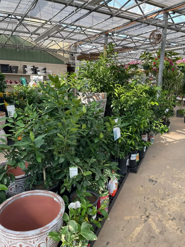 Reliable landscaping services in Osterville, MA by Mahoney's Garden Center