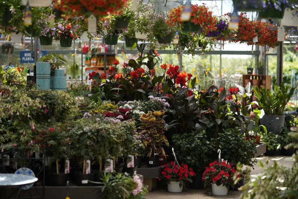 Top-rated lawn mowing service near you in Osterville, MA by Mahoney's Garden Center