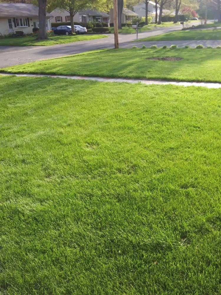 Expert outdoor landscaping near you in Easthampton, MA by Mahoney's Landscaping