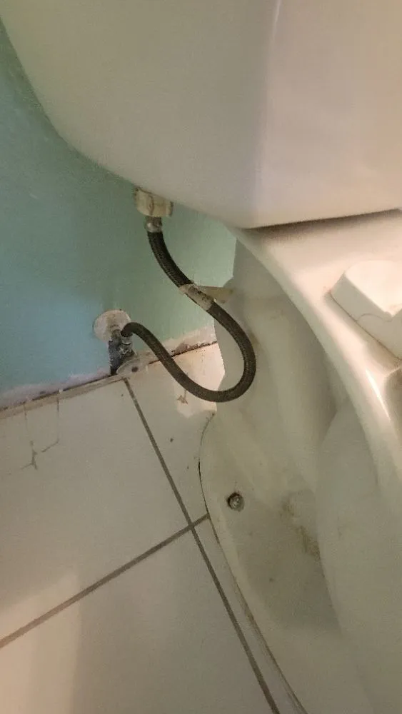 Professional lawn care service with custom design across Crystal River, FL - Mahoney's Lawn