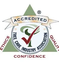 Custom lawn care service experts serving Mahopac, NY - Mahopac Scapes