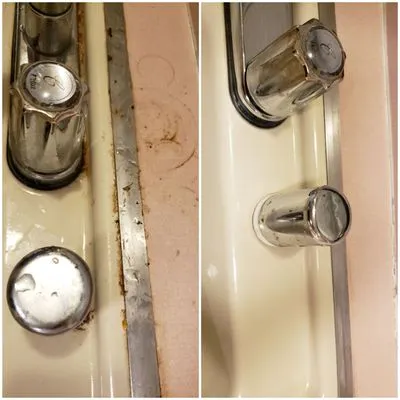 Maid & The Yard Boy Logo