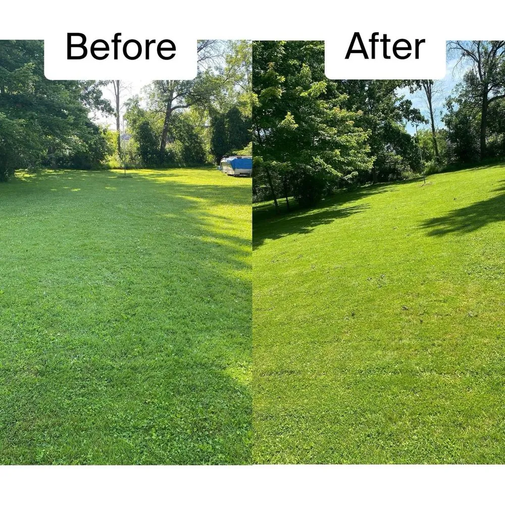 Trusted lawn mowing service in Rochester, NY by Maid 2 Clean & Everything In Between