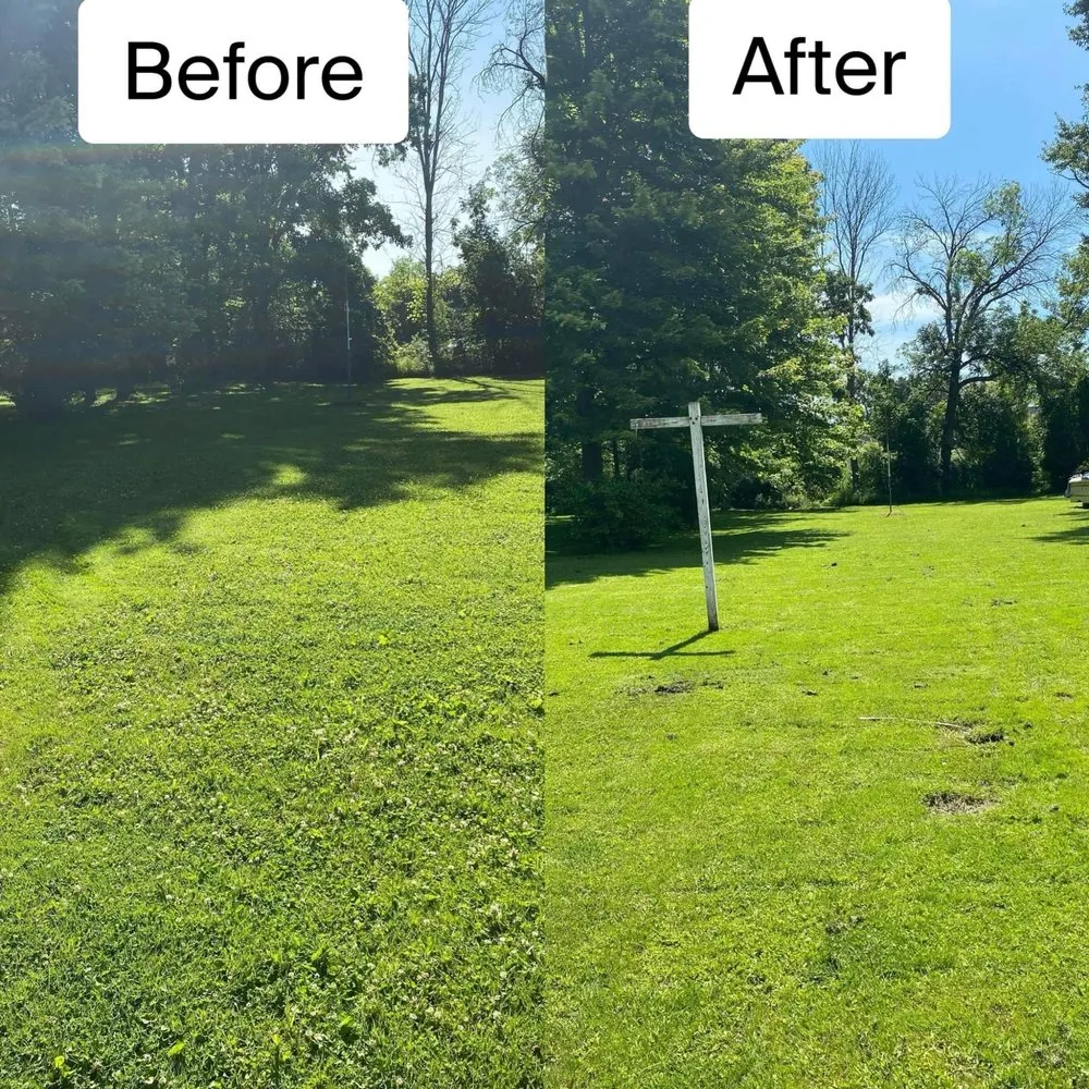 Reliable residential landscaping in Rochester, NY by Maid 2 Clean & Everything In Between