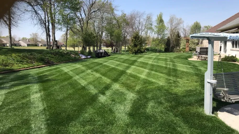 Custom yard cleanup service in Marion, IN by Maiday