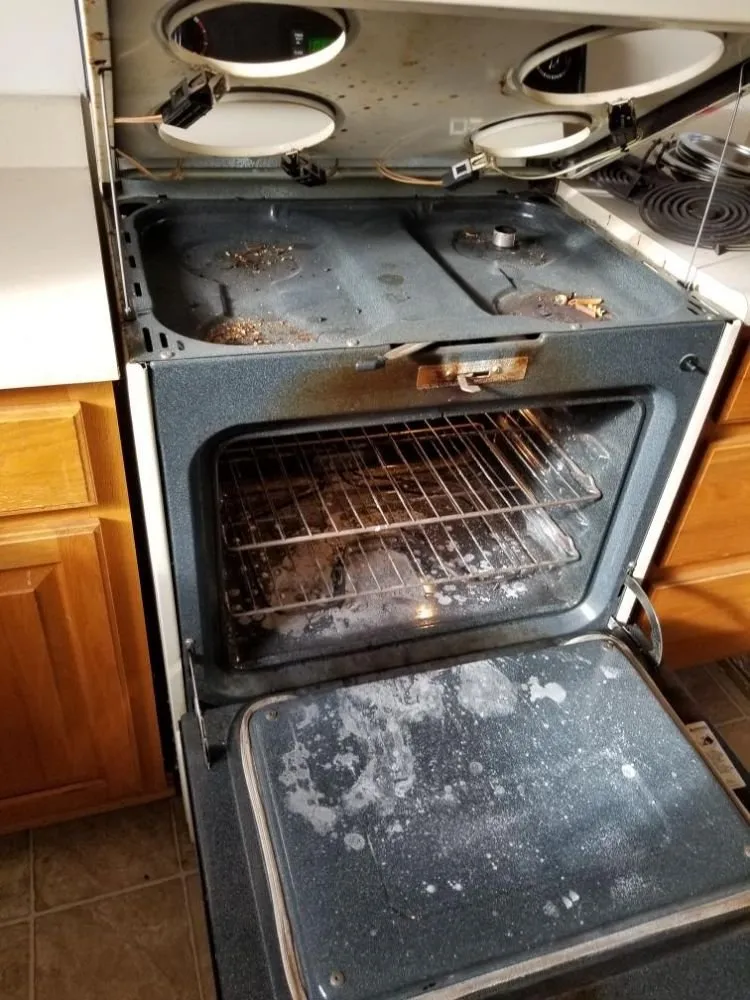 Expert yard cleanup service in Farmington, NY by Maidz and Moverz