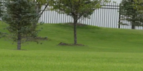 Top-rated yard maintenance experts serving Fort Dodge, IA - Maier Dick Landscaping & Hauling