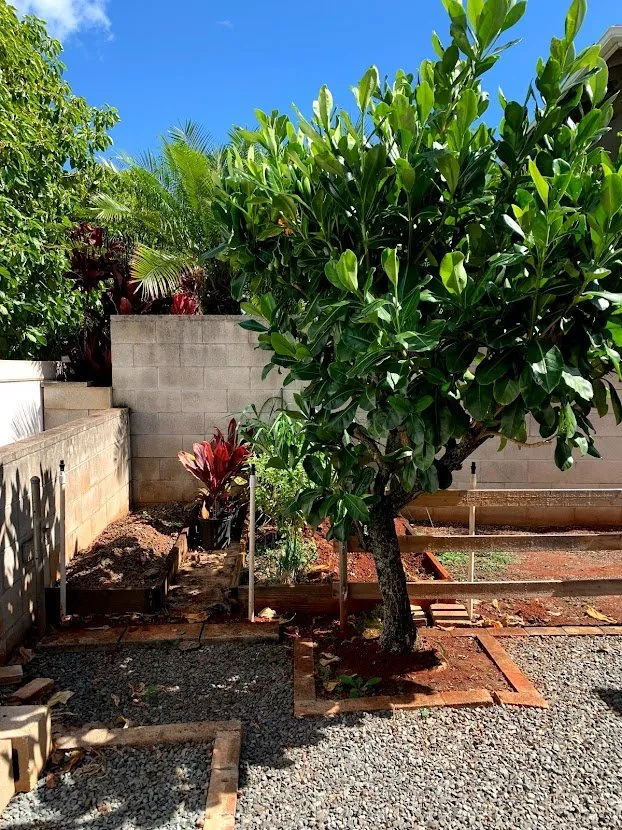 Local landscape installation for outdoor upgrades in Mililani, HI by Maika'i Masonry Contractor